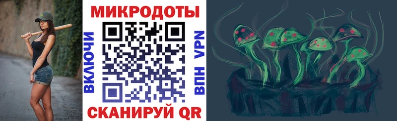 Псилоцибиновые грибы Cubensis Руза