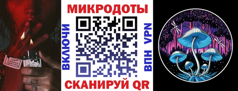 Псилоцибиновые грибы Cubensis наркота Руза